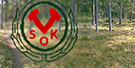 VSOK 161203-135