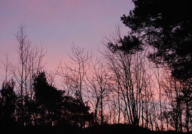 Vintersolståndet, årets längsta natt är i natt