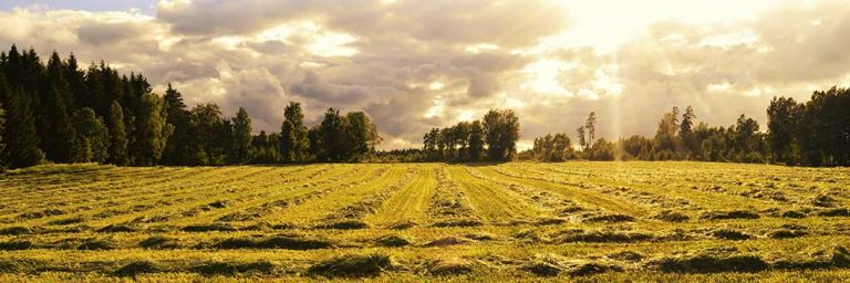 Värnamo får en kommunekolog