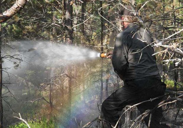 SMHI varnar för skogsbränder