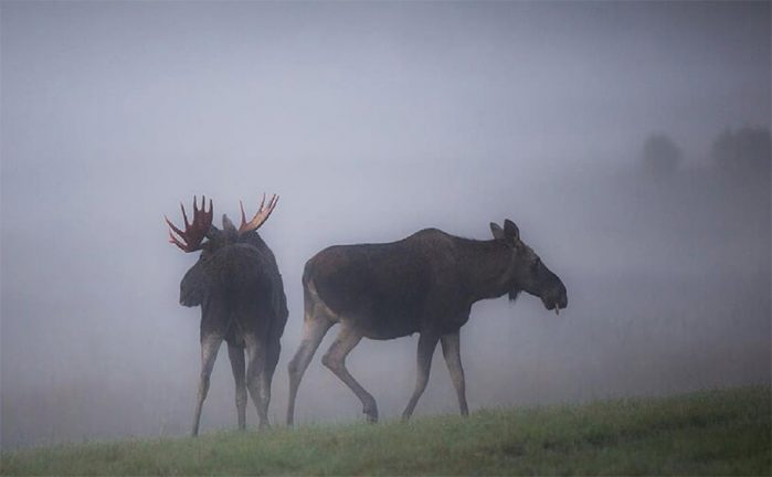 Kämpar mot fortkörare