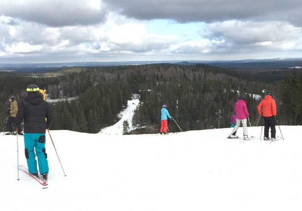 Allvarligt skadad vid skidolycka