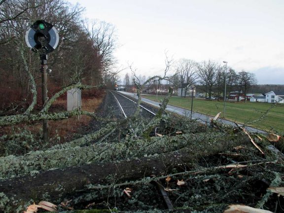 Omkullblåsta träd stoppade Krösatåget