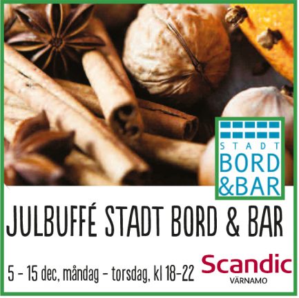Scandic jul 161205-13