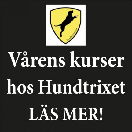 hundtrixet kurser 170120-30