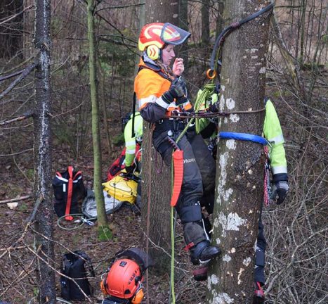 TV: Trädräddning i Svenarum