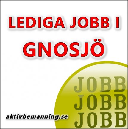Lediga-jobb-gnosjo-aktiv-170731-135