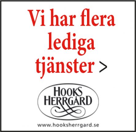 hooks-herrgard-tjanster-171102-16-135