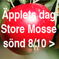 appletsdag171008-135