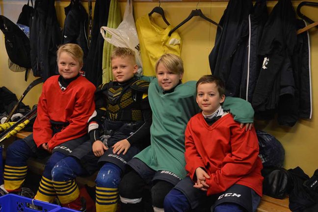 Hockeyskolan i Värnamo