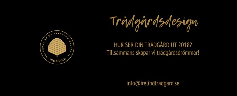 irelind-nyheter-171023