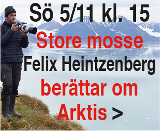 storemosse-171105-135