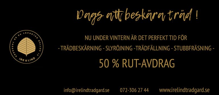 irelind-nyheter-171230-180115