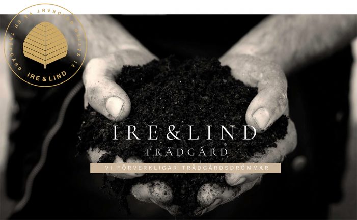 irelind-nyhet180403-dump