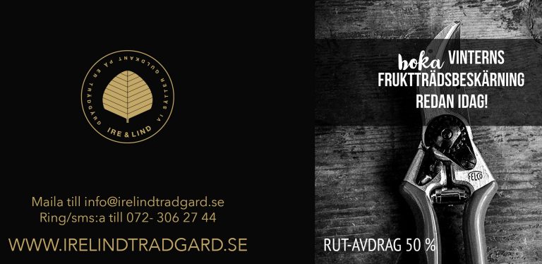 irelind-180924-181024-nyhet