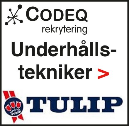 tulip-181206-190114-135