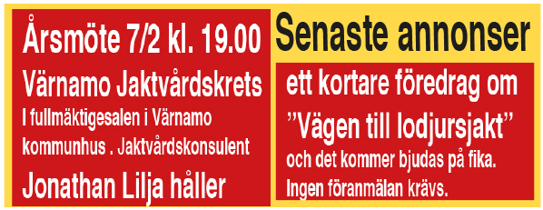 Senaste annonser