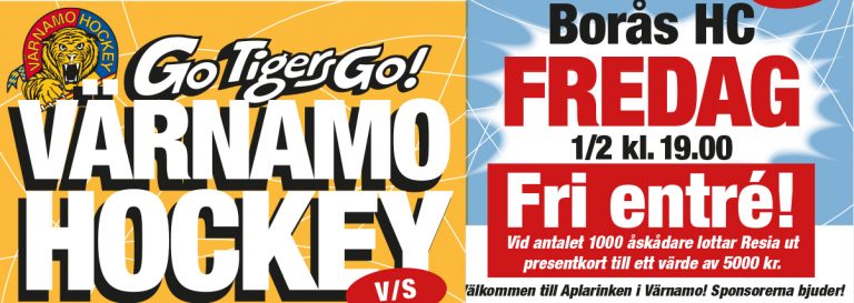 vgik-boras-190201-nyhet