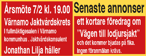 Senaste annonser