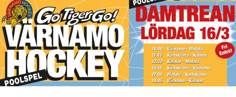 damtrean-vgik-190307-16-nyhet