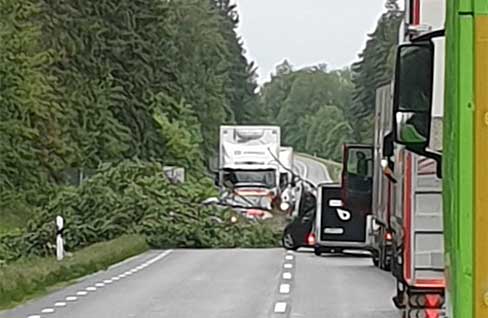 Träd stoppar trafiken utanför Rydaholm