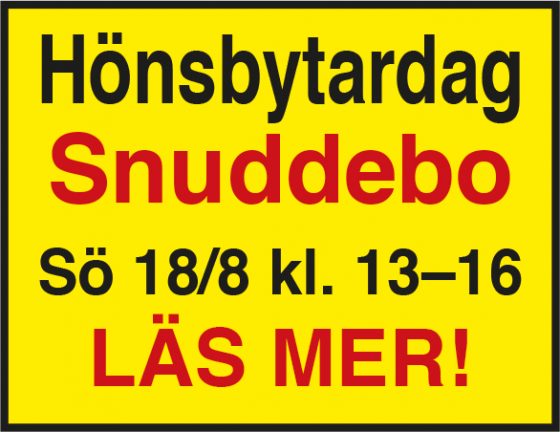 honsbytardag-190810-18-135