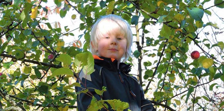 Oliwer Stjernqvist 6 år