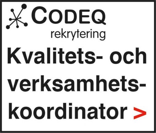 codeq-kvalitet-200204-200302-135