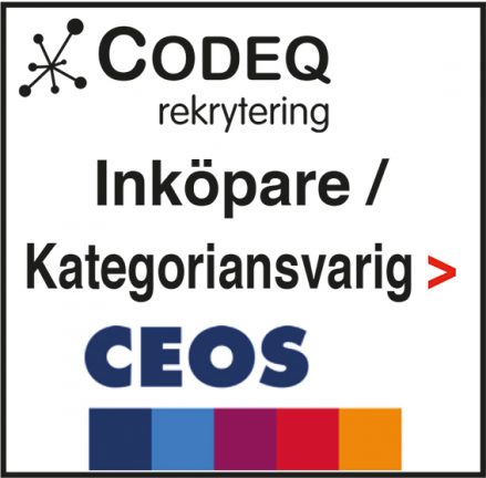 200331-codeq-ceos-200311-135