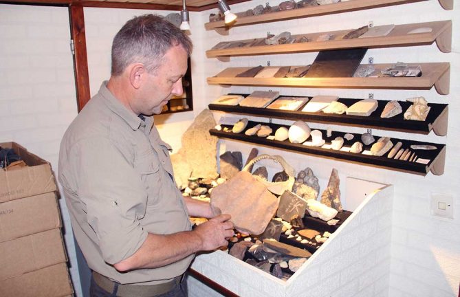 Hemester: Stenar och fossiler i eget museum