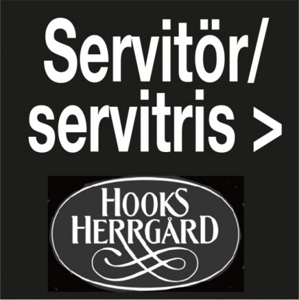 hook-servitris-200703-ff-135