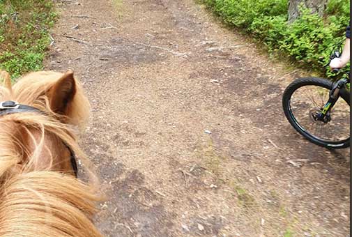 Rider för ”Min stora dag”