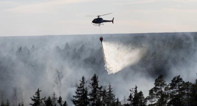 Extrem hög risk för skogsbrand