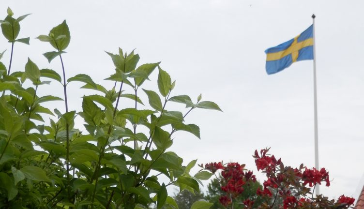 Bildextra: Nationaldagsfirande på Sjösala