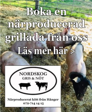 220804-nordskog-kottlador-220713-135