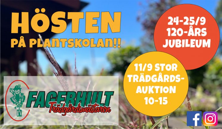 220911-fagerhults-plantskola-tradgardsauktion-220903-x