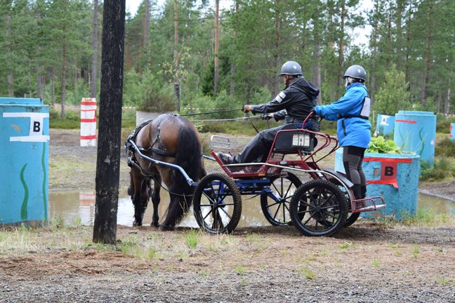 Svenskt mästerskap för nordsvenska hästar avgjordes