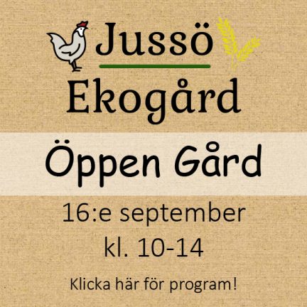 230916-Jusso-Ekogard-230907-135