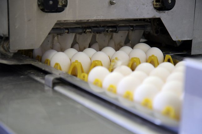 Oförändrad försörjningsgrad för kött totalt sett – uppåt för mjölk och ägg