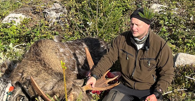 Udda tolvtaggare i Hillerstorpslaget