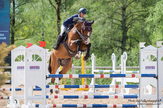 Hästtävling med över 400 starter i Värnamo i helgen