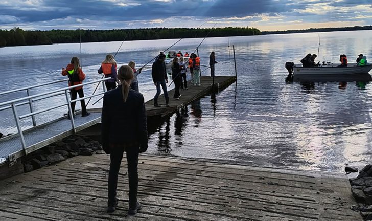 Nätfiske på nätet