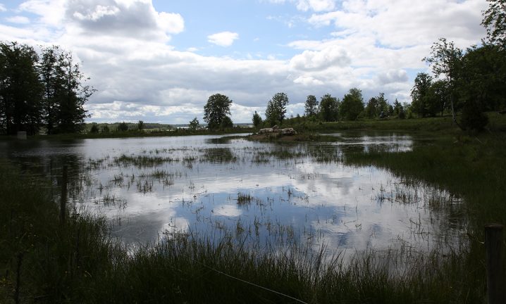 En spegelblank ögonöppnare