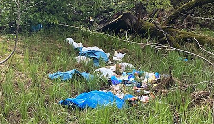 Nedskräpning i park väcker känslor