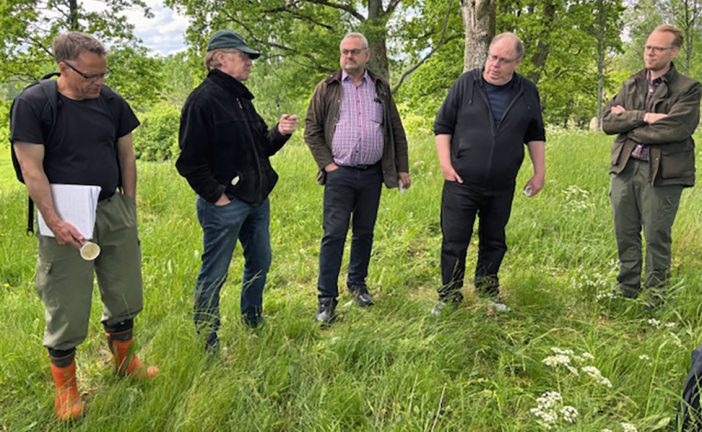 Politikerpicknick i Nederby