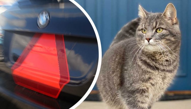 A-traktor väjde för katt – körde in i stolpe