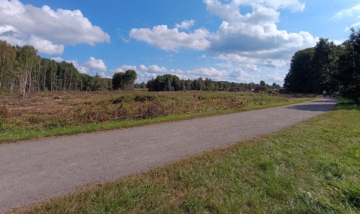 Nytt koloniområde tar form