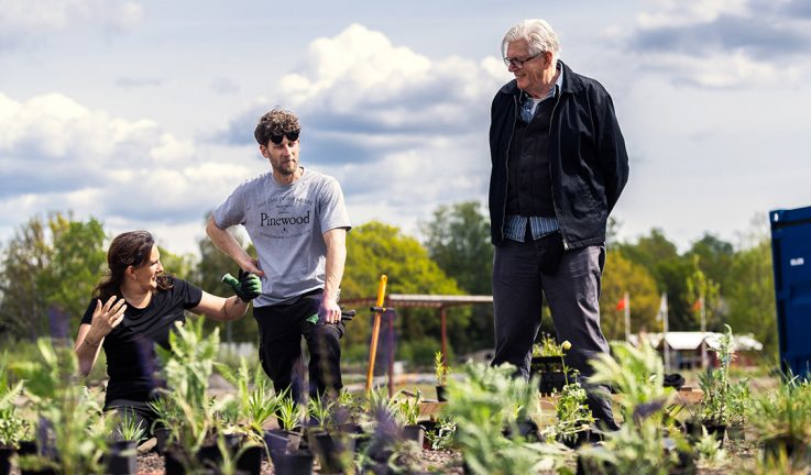 10 000 lökar planteras i ny trädgård