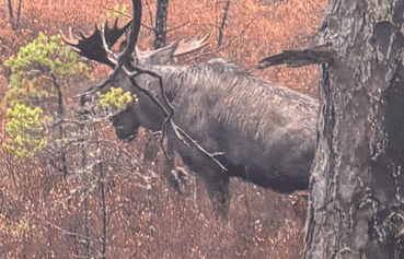 Jonny blev ”fotoskytt” i Bondstorp