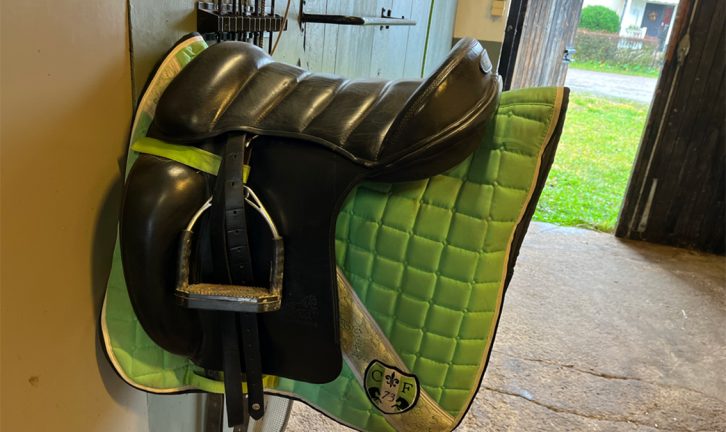 Polisen: Hästägare – varning för sadeltjuvar!